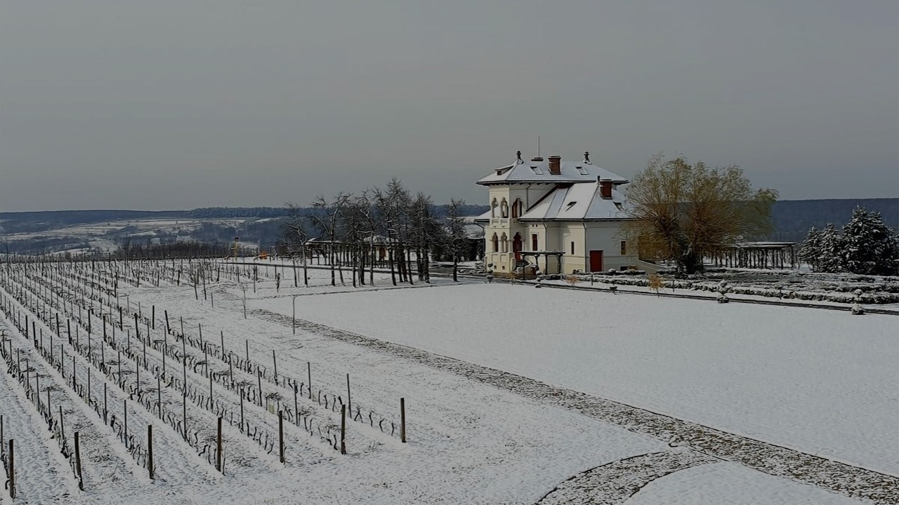 The Traditional Romanian Holiday Dragobete at Vila Dobrușa Estate – AVINCIS Winery - Drăgășani!