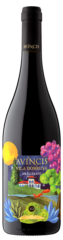 Vila Dobrușa - Negru de Drăgășani & Merlot - Avincis