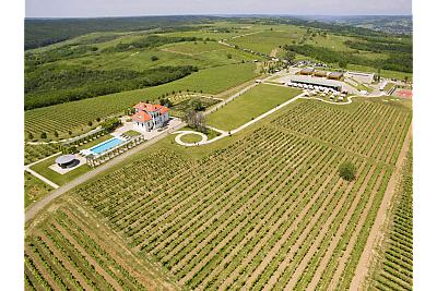 Dragasani wines, winery, vineyard