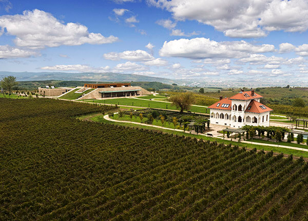 Winery and vineyard Avincis, Dragasani, Romania